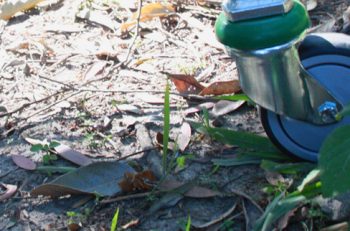 Found An Abandoned Trolley?